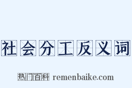 社会分工反义词是什么意思的图片
